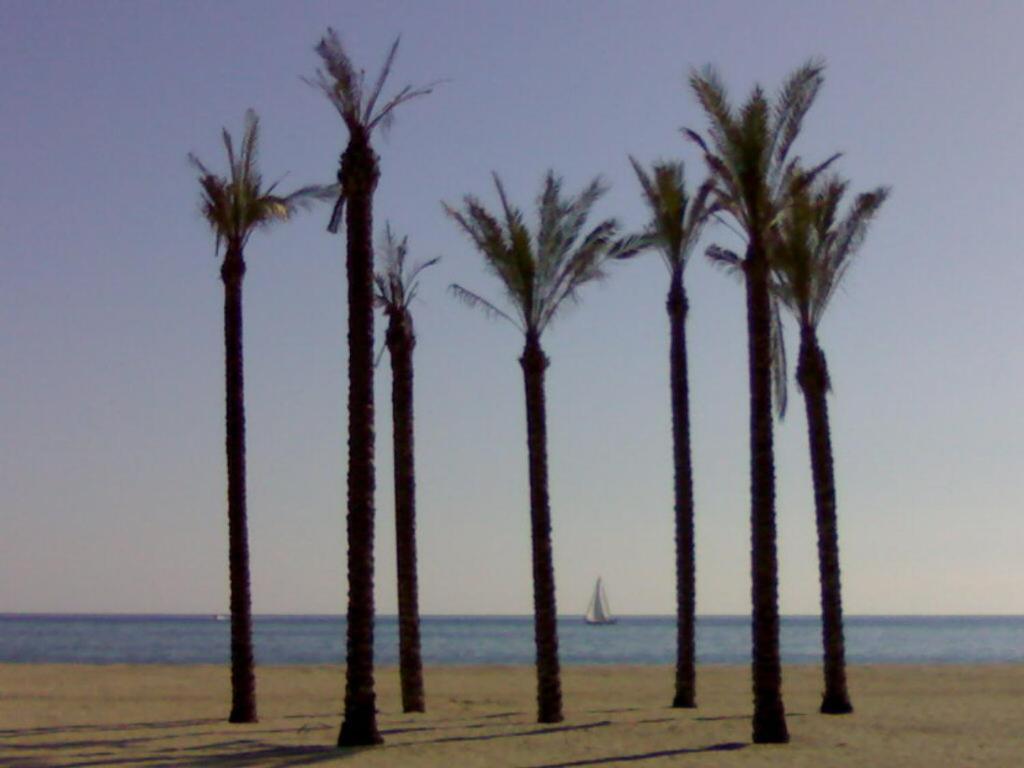 Atractivo Apartamento En La Playa Con Parking ロケタス・デ・マル エクステリア 写真